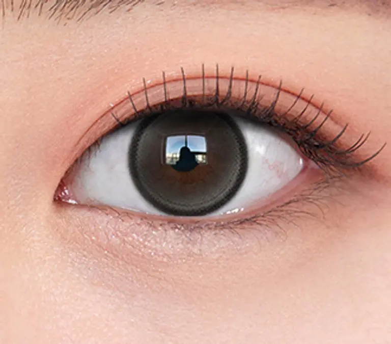 라라티어 그레이